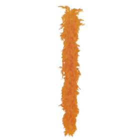 Boa Oranje