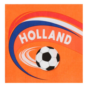 Napkin "Holland" 20 pieces